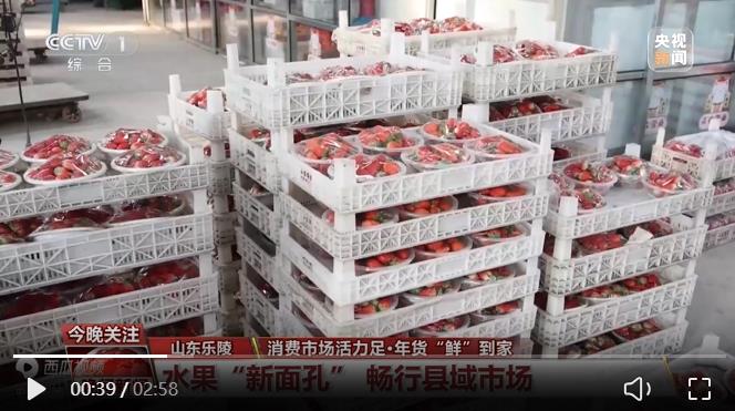 2026春节节前消费市场活力十足，销量翻倍、订单排满