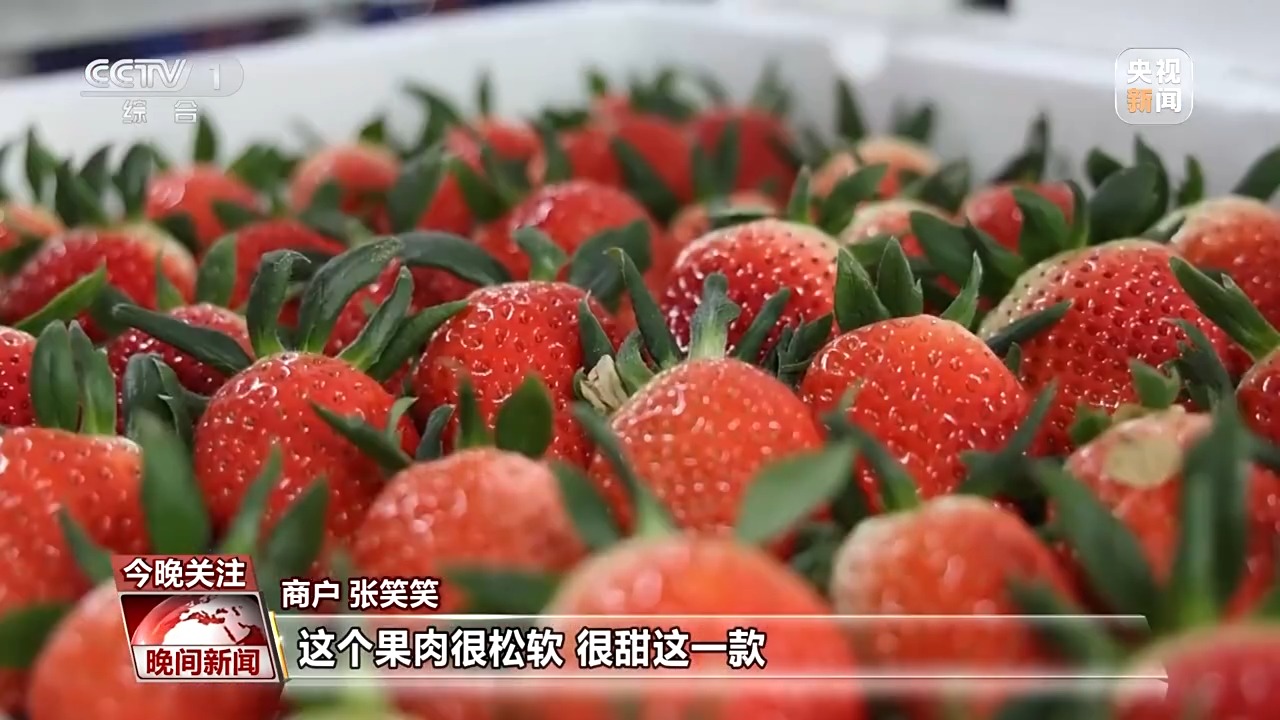 2113dc691d09bd410853a3e280de8ff3~tplv-tt-origin-web_gif.jpeg 2113dc691d09bd410853a3e280de8ff3~tplv-tt-origin-web_gif.jpeg