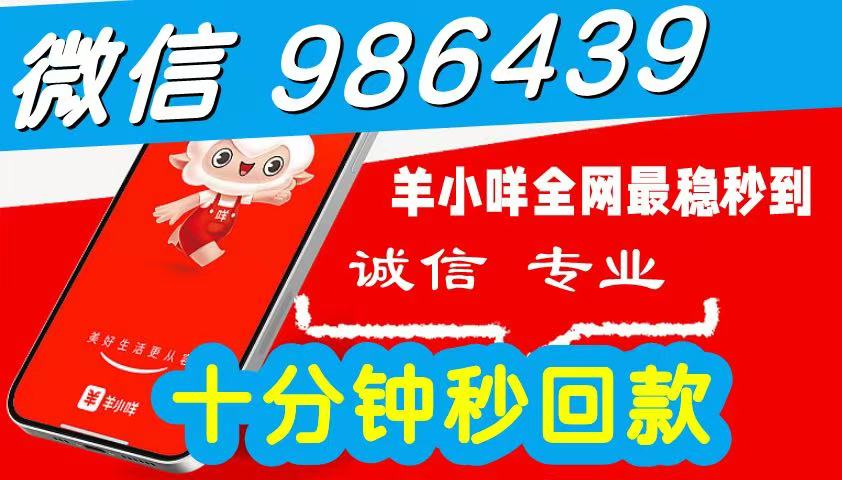 2026 秒到商家一手教程：羊小咩临时便荔卡包购物消费额度怎么提现秒到的？全网更新便荔卡包最新套法秒到方式