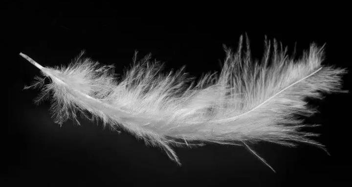 《生命中不能承受之轻》经典语录摘抄