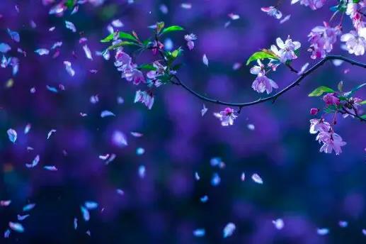 360截图20260131202700452.jpg 360截图20260131202700452.jpg